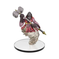 New WizKids Dungeons and Dragons - Icons of the Realms: Tomb of Annihilation - Complete Set