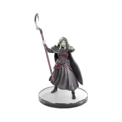 New WizKids Dungeons and Dragons - Icons of the Realms: Tomb of Annihilation - Complete Set