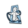 Sale Pinfinity Fallout - SPECIAL Endurance - Pin